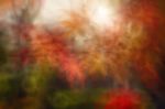 Blurred Autumn Leaves Background. Blurred Nature Background Stock Photo