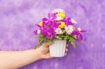 Hand Holding Bouquet Of Chrysanthemum And Orchid Flowers Isolate Stock Photo