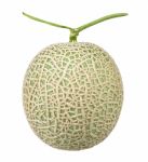 Japanese Melon Isolated On The White Background Stock Photo