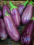 Group Of Ripe Aubergines For Sale Stock Photo