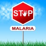 Stop Malaria Represents Stopping Danger And Warning Stock Photo
