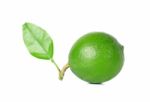 Lime With Leaf Isolated On White Background Stock Photo