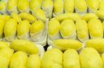Durian Lobe King Of Fruit Stock Photo
