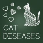 Cat Diseases Indicates Puss Kitten And Kitty Stock Photo
