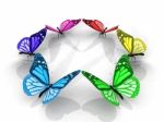 Multicolored Butterflies Stock Photo
