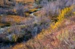 Autumn Colours In Wyoming Stock Photo