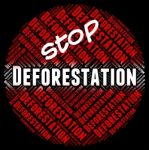 Stop Deforestation Shows Cut Down And Control Stock Photo