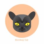 Cartoon Bombay Cat In Circle  Illustration Stock Photo