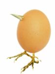 Chicken Egg As Bird With Legs And Beak Stock Photo