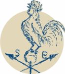 Rooster Cockerel Crowing Weather Vane Etching Stock Photo