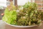 Fresh Organic Mix Salad Vegetable Stock Photo