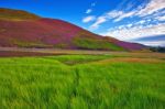 Colorful Landscape Scenery Of Pentland Hills Slope Covered By Vi Stock Photo