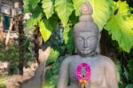 Buddha Statue With Laurel At Wat Thamai (public Location) Stock Photo