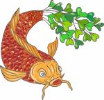 Koi Nishikigoi Carp Fish Microgreen Tail Drawing Stock Photo