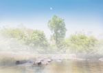 Relax Soft Nature Dreamy View Of Riverside In Fog , Rock In Stre Stock Photo