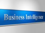 Business Intelligence Shows Intellectual Capacity And Acumen Stock Photo