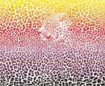 Leopard Abstract Background Stock Photo