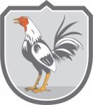Cockerel Rooster Standing Shield Retro Stock Photo