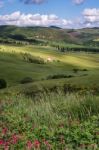 Farmland In Val D'orcia Tuscany Stock Photo