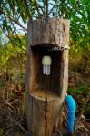 Energy Saving Bulbs Are In The Tree Stock Photo