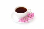 A Cup Of Black Coffee With Flowers Stock Photo