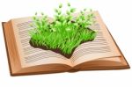 Book And Plant Stock Photo