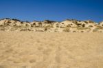 Beach Landscape With Dune Vegetation And Sand Stock Photo