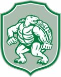 Green Turtle Fighter Mascot Shield Retro Stock Photo