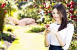 Beautiful Girl Typing Text Message On Her Smart Phone In The Gar Stock Photo