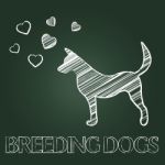 Breeding Dogs Means Mating Canines And Offspring Stock Photo