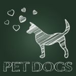 Pet Dogs Means Domestic Animals And Canine Stock Photo