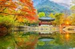 Baekyangsa Temple In Autumn,naejangsan Park In Korea Stock Photo