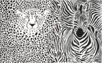 Zebra And Cheetah And Pattern Stock Photo