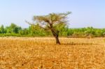 Landscape In Ethiopia Near Bahir Dar Stock Photo