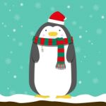 Cute Big Fat Penguin Wear Christmas Hat And Scarf Stock Photo