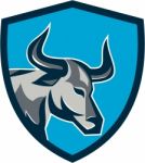 Texas Longhorn Bull Head Shield Retro Stock Photo