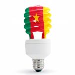 Flag Of Cameroon On Bulb Stock Photo