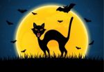 Halloween Growl Black Cat Bat Moon Graveyard Stock Photo