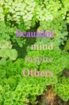 Beautiful Mind Inspire Others. Inspirational Quote Stock Photo