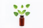 A Bottle Of Melissa Lemon Balm Essential Oil With Fresh  Leaves Stock Photo