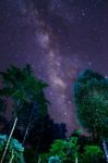 Milky Way And Some Trees. In The Mountains Of Bolaven Plateau Stock Photo