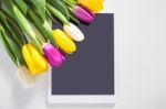 Flowers Online Shopping Concept Stock Photo
