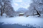 Baekyangsa Temple And Falling Snow, Naejangsan Mountain In Winter With Snow,famous Mountain In Korea.winter Landscape Stock Photo