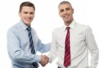 Handsome Young Executives Shaking Hands Stock Photo