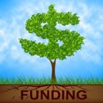 Funding Tree Means United States And Banking Stock Photo