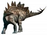 Stegosaurus Stock Photo