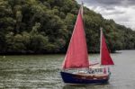 Sailing Up The River Dart Stock Photo