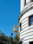 South African  Golden Springbok On A Building In London Stock Photo