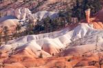 Foothills Of Bryce Canyon Stock Photo
