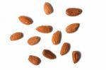 Sweet Almond Drupes Stock Photo
